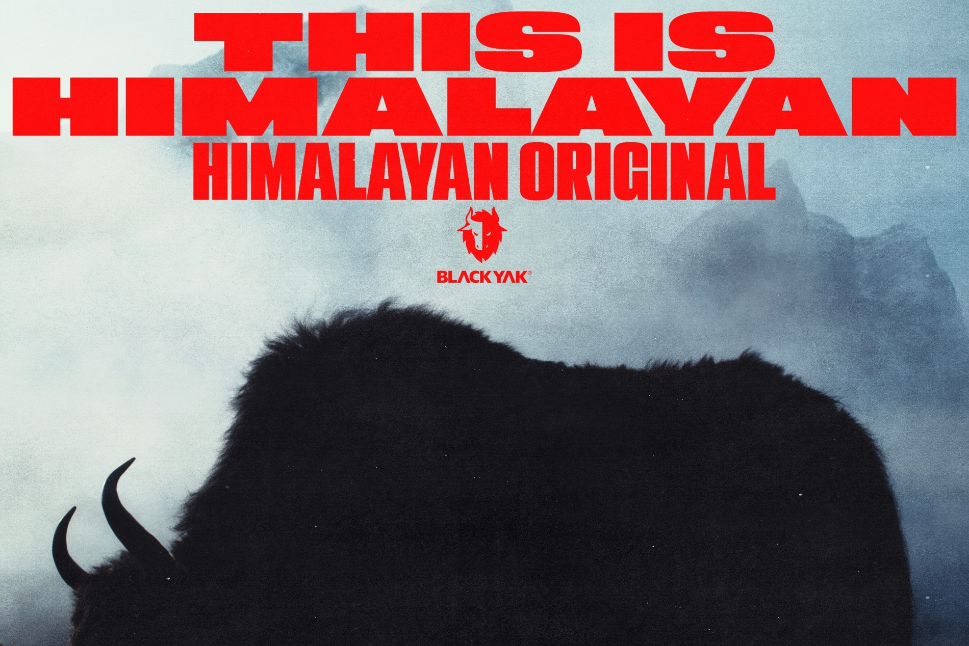 '인스타 리셋' 블랙야크, 글로벌 캠페인 시동... 일관된 메시지로 브랜... - 뉴스 썸네일 이미지